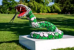 Why giant statues of snakes popped up in Geneva