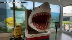 ‘Jaw dropping’ exhibit celebrates 50 years of ‘Jaws’ at Martha’s Vineyard Museum